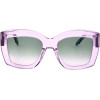 Silvian Heach sunglasses 20107GRE (51/21/143) - (ISOBEL)