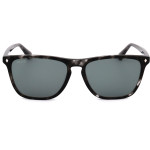 Web sunglasses 20V (55/16/145) - (WE0363)
