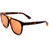 Web sunglasses 56J (59/13/145) - (WE0263)