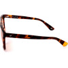 Web sunglasses 56J (59/13/145) - (WE0263)