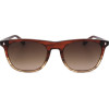 Web sunglasses 71F (53/20/145) - (WE0339)