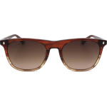 Web sunglasses 71F (53/20/145) - (WE0339)