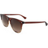 Web sunglasses 71F (53/20/145) - (WE0339)