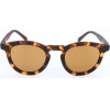 Adidas sunglasses 148.009 (47/23/140) - (AOR017/N)