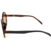 Adidas sunglasses 148.009 (49/25/140) - (AOR016/N)