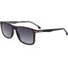 Carrera sunglasses 298/S 086 (57/16/145) - (CARRERA 298/S)