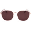 Polaroid sunglasses DDB (57/17/145) - (PLD 4168/G/S/X)