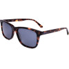 Pepe Jeans sunglasses 106P (56/17/145) - (PJ7426)