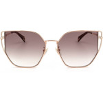 Police sunglasses 08FC (57/16/140) - (SPLL38M)