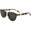 Police sunglasses 0AGG (50/24/145) - (SPLL82)