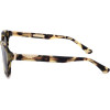 Police sunglasses 0AGG (50/24/145) - (SPLL82)