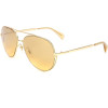 Police sunglasses 300G (57/15/135) - (SPL835)