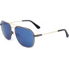 Police sunglasses 300B (60/18/145) - (SPLF64)