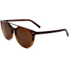 Rodenstock sunglasses B (52/18/140) - (RR329)