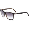 Rodenstock sunglasses C (54/17/140) - (R3282)