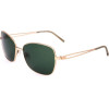 Rodenstock sunglasses C (57/17/135) - (R1419)