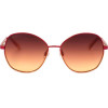 Swarovski sunglasses 71F (58/16/135) - (SK0368)