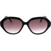 Ted Baker sunglasses 001 (54/16/140) - (TB1731)