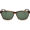 Ted Baker sunglasses 155 (56/14/145) - (TB8232)