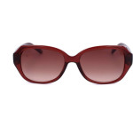 Ted Baker sunglasses 204 (56/17/140) - (TB1606)