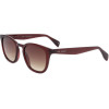 Ted Baker sunglasses 249 (50/21/145) - (TB1683)