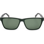 Ted Baker sunglasses 559 (55/14/145) - (TB8199)