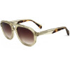 Ted Baker sunglasses 939 (53/20/145) - (TB1692)