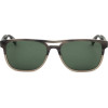 Ted Baker sunglasses 960 (56/16/145) - (TB8207)