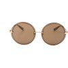 Trussardi sunglasses 300G (66/14/145) - (STR219F)