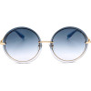 Trussardi sunglasses 300W (66/14/145) - (STR219F)