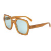 Moncler ML sunglasses 45N (54/24/145) - (ML0203 P)