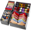 Ruhhy Underwear Organizer - Set Of 4 - (18957-0)