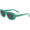 Ferragamo sunglasses 300 (51/20/145) - (SF1046S)