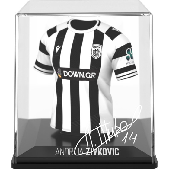 MyJersey: Paok - Andrija Zivkovic (Home 25/26) (53MY00011)