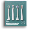 Be Lucent Prism Sonic Toothbrush Heads 4 Pack, Multicolor - (10492)