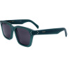 Celine Sunglasses 96A (54/19/145) - (CL40248I)