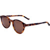 Hackett Bespoke Sunglasses 127 (49/20/145) - (HEB240)
