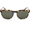Sandro Sunglasses 206 (51/18/145) - (SD1012)