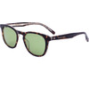 Scotch & Soda Sunglasses 102 (50/21/145) - (SS8018)