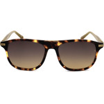 Scotch & Soda Sunglasses 102 (54/17/145) - (SS8013)