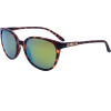 Smith Sunglasses 086 (54/19/140) - (CHEETAH)