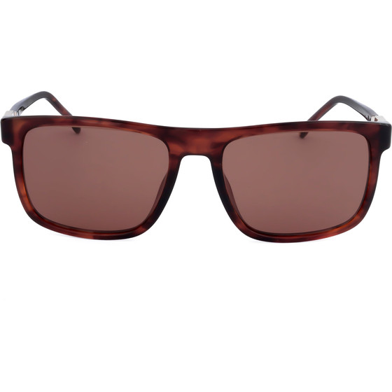 Carrera Sunglasses 1136/S EX4 (56/18/145) - (CARRERA 1136/S)