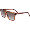 Carrera Sunglasses 3027/S EX4 (58/13/140) - (CARRERA 3027/S)