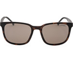 Carrera Sunglasses 8046/S N9P (54/19/145) - (CARRERA 8046/S)