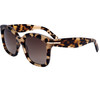 Hugo Boss Sunglasses P65 (53/21/145) - (Boss 1731/S)