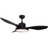 Aca Ceiling Fan With Light Dim Mat Black 3 Blades Abs Remote Control Timer Led 22W 40W - (FANRX48013B)