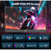 RIITEK ������ ����� RS100, IPS, 15.6'' 1920x1080, HDR, mini HDMI/USB-C, �� ����� - (RT-RS100)