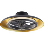 Aca Ceiling Fan Dim BLACK-Gold With 8 Blades Abs Remote CONTROL&Timer Led 40W 4300L Dc 15W 550mm - (FAN3231168)