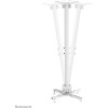 Neomounts Projector Ceiling Mount 60.5-90.5 Cm - (CL25-540WH1)