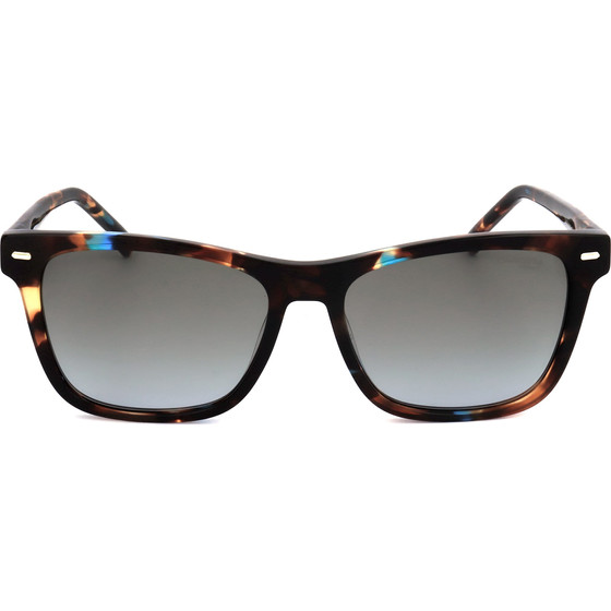 Carrera Sunglasses 3001/S Jbw (54/16/140) - (CARRERA 3001/S)